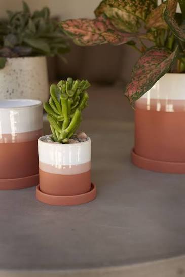 Pots and Planters