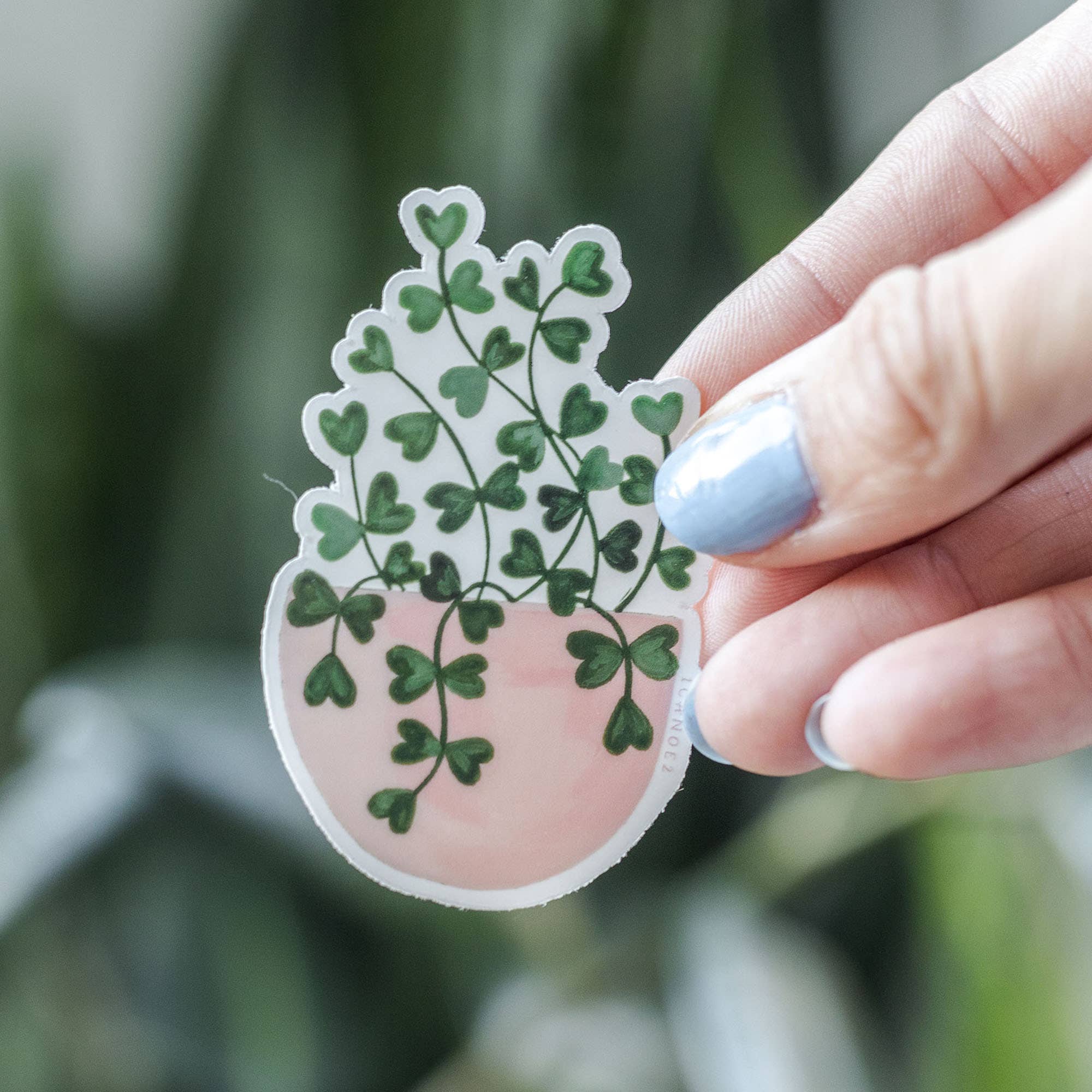 Sweetheart Plant Clear Decal Sticker