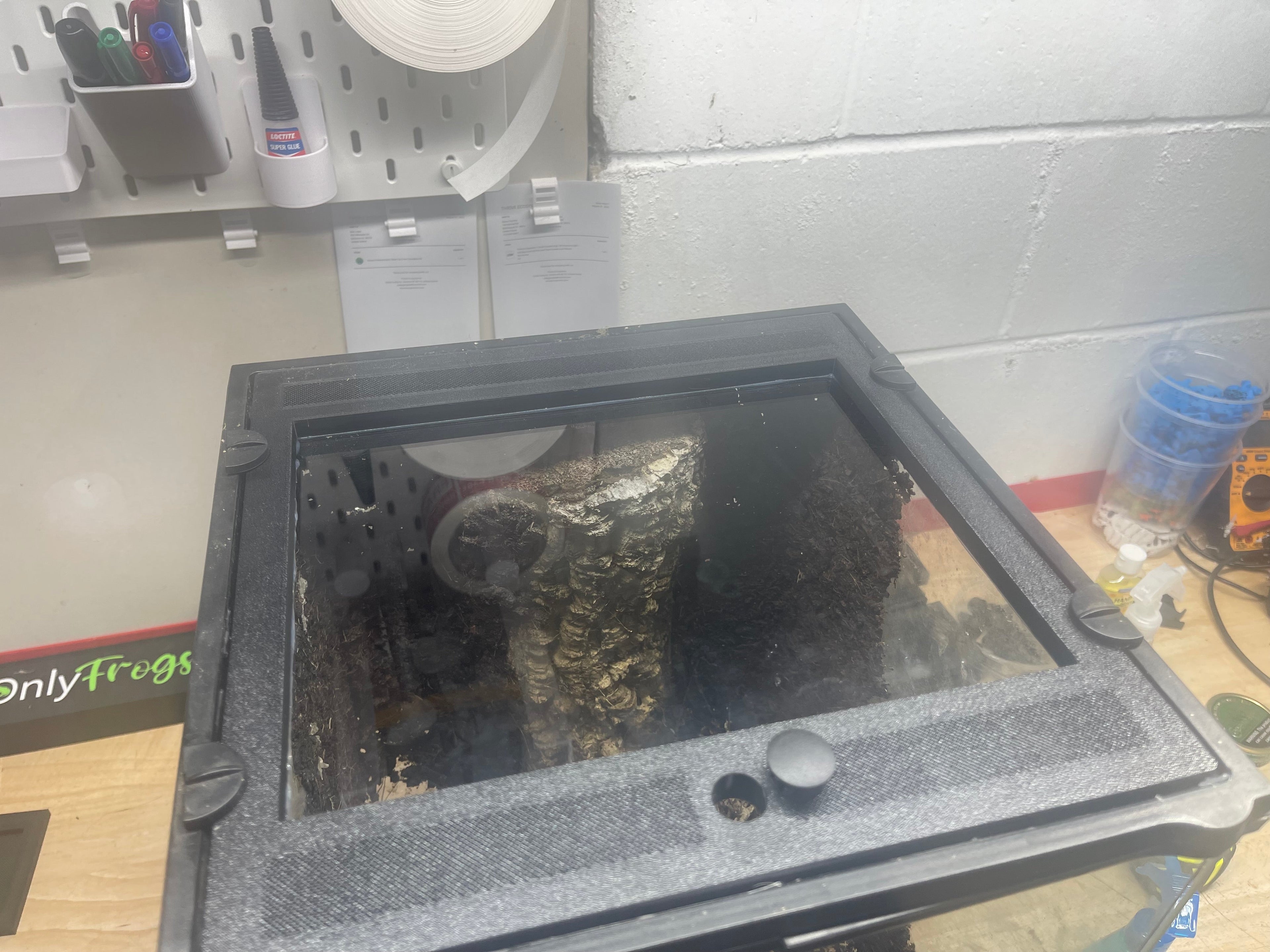 Custom Replacement Top for 12" Exo Terra Terrariums – Humidity Retaining with Fly-Proof Ventilation