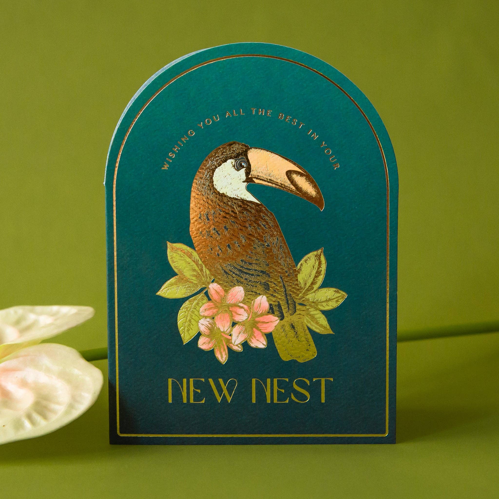 Best in Your New Nest Card | Toucan