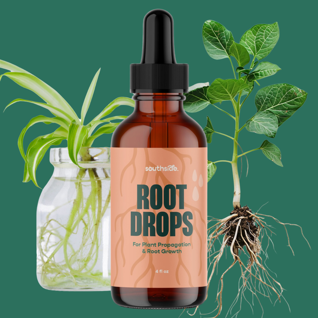 Root Drops - For Propagations & Repotting