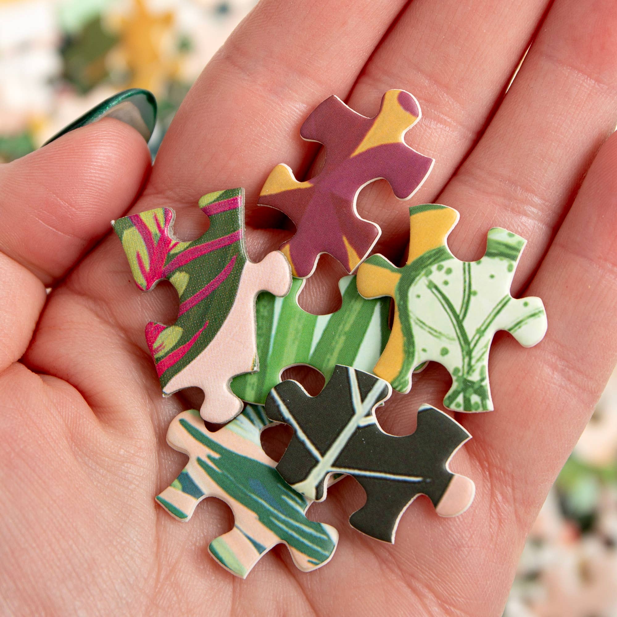 Houseplants Puzzle - 1,000 Piece Jigsaw Puzzle