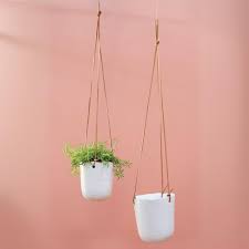 Doni Plant Hanger