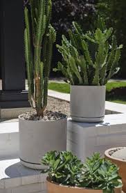 Dionne Pot with Saucer