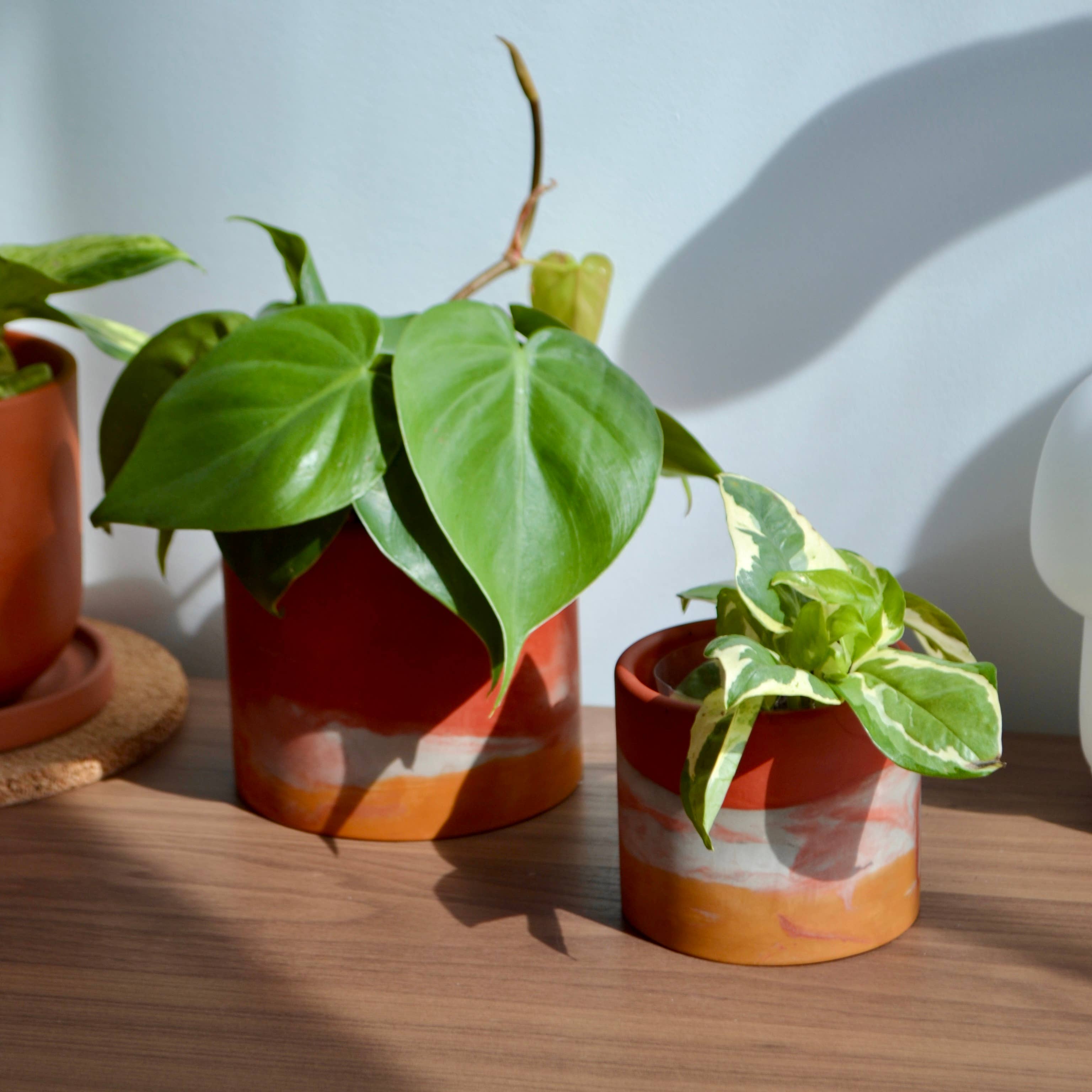 Rust & Orange Watercolor Planter | Multiple Sizes